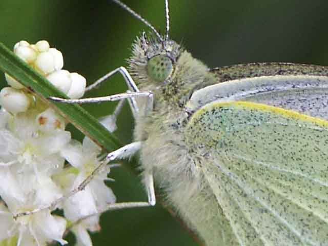 010811_143556-01 100% crop